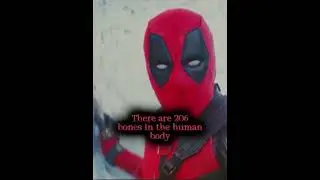 The Merc with a Mouth #deadpoolmovie #deadpooledit #edit #funny #shorts #marveljesus #deadpool