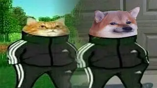 Memes That Have Been Visited By Slav Doge