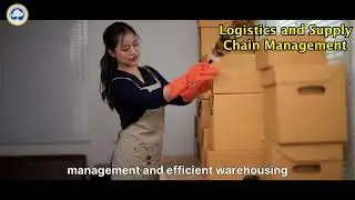 MBA in Logistics & Supply Chain Management: Future-Proof Your Career | SRM Online