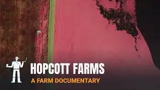 Vancouver's Hopcott Farms Where Cattle Meets Cranberries | At the Farms
