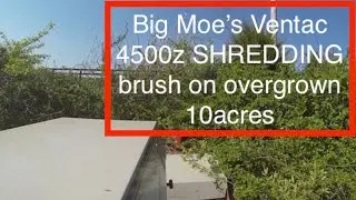 Big Moe's Ventrac 4500z SHREDDING brush on overgrown 10 acres!
