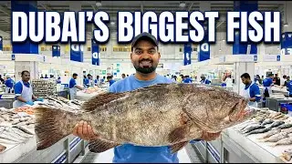 Dubai Waterfront Fish Market 🐟 | World Biggest Fish Market ಅನುಭವ|Royalismail