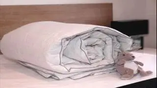 Hungarian goose down