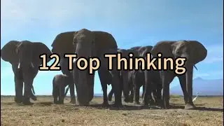 12 Top Thinking: The Cognitive Journey from Lunar Landings