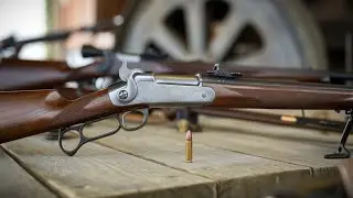Best Scout Rifles 2025 &ndash; #1 Choice Surprised Everyone