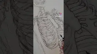 Inking th is skeleton drawing #art #horror #skeleton #anatomy #artreel #inking #penandink