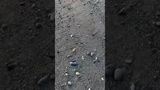 Finding agates  #funny #explore  #agate