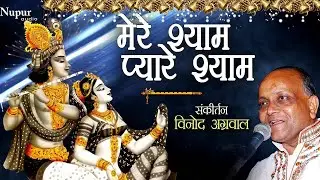 मेरे श्याम प्यारे श्याम | Mere Shyam Pyare Shyam | Vinod Agarwal | Best Shyam Bhajan