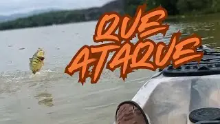 QUE ATAQUE FOI ESSE?