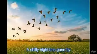Another Dawn (remix)