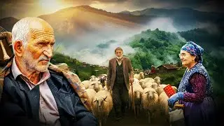 Why Nothing Is Organic Anymore: A Documentary from the Black Sea Highlands