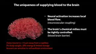 Mass General Neurology Grand Rounds: Neuro-Vascular Interactions in the Brain