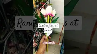 Random cute finds🎀✨ Comment your favourite one#dmart #beauty  #shortvideo #girl #newsong #pinterest