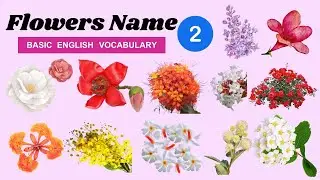 Fantastic Flowers 101 - A Kids' Guide to Flower Types - Flower Types for Young Explorers - Learning