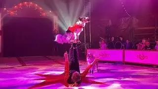 It's all about cirus Harlekino Tilburg part 2