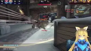 Paladins stream