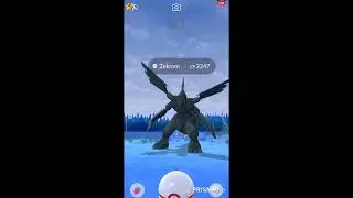 🔴 LIVE Pokémon GO Raids 🔥 Zekrom & Mega Glalie ❄️ Shiny Hunt!