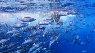 10 millas al Oeste de las Islas Cíes.