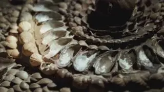 Explore Margate&rsquo;s Shell Grotto
