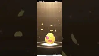 7km egg hatching