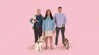 3-Minute How-To: Service Animals