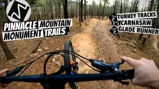 Pinnacle Mountain Black Trails EASIEST TO HARDEST || AR Monument Trails Pinnacle Mountain State Park
