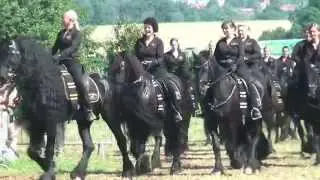 PferdeStark 2015, Schloss Wendlinghausen: Friesen-Quadrille