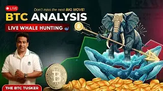 🔴 LIVE BTC ANALYSIS || 24 FEB || BTC WEEKLY ANALYSIS || @thebtctusker