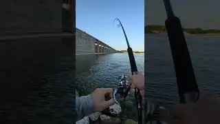 Striper fishing in Texas!