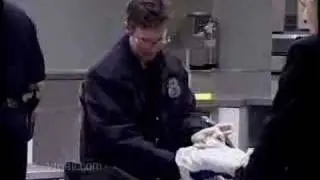 Customs Inspectors Job Description