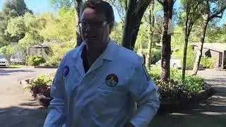 Dr Steve shows us what a dry ice soda bottle bomb looks like