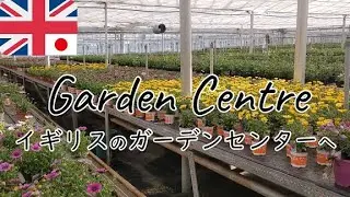 イギリスの巨大ガーデンセンター