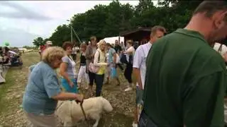 ILUS-MAA 2011 Kärdla kohvikute päev