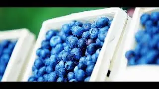 Schm&uuml;ckerhof Bottrop Kirchhellen -  Wir machen Ihnen den Hof Obst Gem&uuml;se Hofladen Veranstaltungen