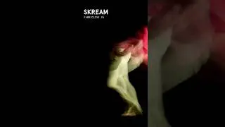 Skream steps into house & techno mode. FL96 is pure groove. #fabriclive #skream #housemusic