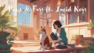 Lofi - Paws & Furs ft. Lucid Keys