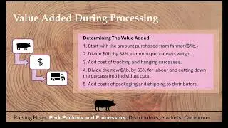 Navigating the Pork Supply Chain: From Farm to Fork