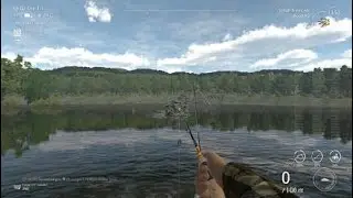 Fishing Planet - Unique crucian carp