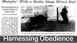 HARNESSING OBEDIENCE: The E-Meter's Role in Psychological Conditioning
