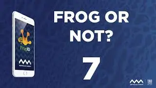 Frog Or Not - FrogID