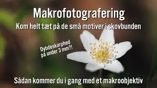 Makrofotografering - En helt ny verden af muligheder