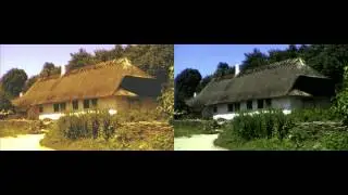 8mm Film Transfer Color Correction by FilmTransfer.com