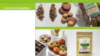 Micronutris - Campagne de crowdfunding 2015