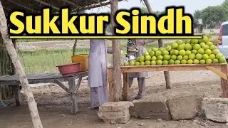 Sukkur Sindh | A road trip | 2025 |