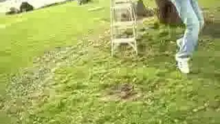 Nuclear Atomic Wedgie Testing