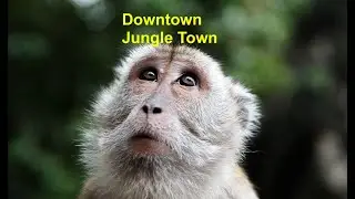 Downtown Jungle Town - a tune