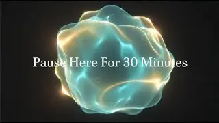 Pause Here For 30 Minutes
