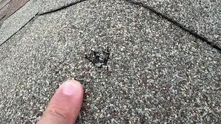 Hail Damage Atrium Roofing Inspection
