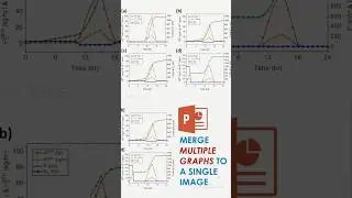 Несколько графиков в одном изображении #powerpoint #образование #урок #обучение #происхождение