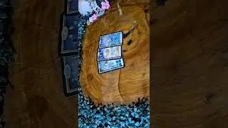 Tarot Colectivo #tarot  #tarotcolectivo